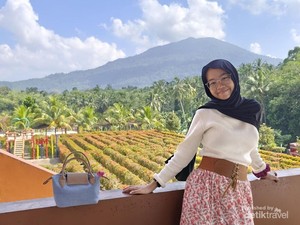 Berenang dan Main Labirin di Resort dengan Pemandangan 2 Gunung