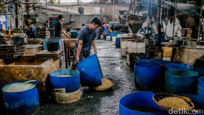 Seorang pekerja mengangkat cetakan tahu saat proses produksi di pabrik rumahan kawasan Duren Tiga, Jakarta, Jumat (13/6/2025).

Produksi tahu terus berjalan meski banyak UMKM masih menghadapi kendala dalam mengakses kredit dari lembaga keuangan for