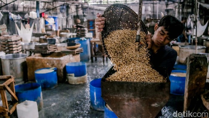 UMKM Perlu Pendampingan untuk Akses Kredit Perbankan Seorang pekerja mengangkat cetakan tahu saat proses produksi di pabrik rumahan kawasan Duren Tiga, Jakarta, Jumat (13/6/2025).
Produksi tahu terus berjalan meski banyak UMKM masih menghadapi kendala dalam mengakses kredit dari lembaga keuangan formal.
Menurut data Kementerian UMKM, lebih dari 69 persen pelaku usaha kecil belum terbiasa mengakses pembiayaan dari sektor perbankan.
Hambatan utama yang dihadapi pelaku UMKM meliputi syarat agunan, minimnya integrasi data keuangan, dan suku bunga tinggi.
Industri padat karya seperti tahu tempe sangat bergantung pada dukungan rantai pasok dari pelaku UMKM untuk bertahan.
DPR menekankan perlunya peran aktif pemerintah dalam memberikan pendampingan agar UMKM bisa memperoleh pembiayaan yang layak.