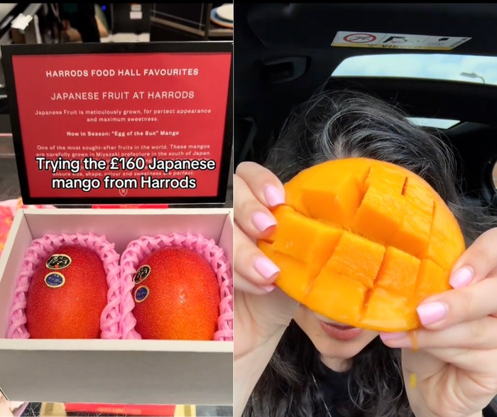 Wah! Rasa Mangga Jepang Seharga Rp 3,5 Juta Bikin Takjub
