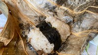 Ada juga Lo Mai Gai, salah satu menu favorit saat makan dimsum. Terdiri dari nasi ketan yang dikukus dengan daun teratai. Foto: detikFood