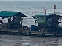 8 Penambang Timah Ilegal di Bangka Barat Ditangkap, 2 Orang Jadi Tersangka