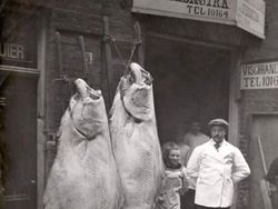 Terungkap! Foto Sejarah Langka yang Dunia Tak Boleh Lupakan