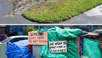 Ingin halaman rumah dibuat lebih rame. Foto: Boredpanda