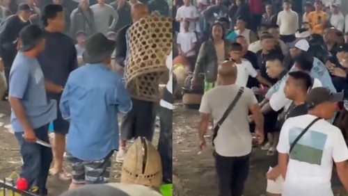 Kericuhan di arena tajen di Kintamani, Bangli, Bali, Sabtu (14/6/2025). (Tangkapan layar)