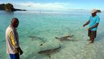 Masyarakat Adat Tutup Tempat wisata Pulau Wayag di Raja Ampat