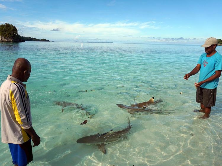Masyarakat Adat Tutup Tempat wisata Pulau Wayag di Raja Ampat