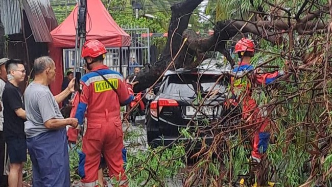 Jakarta Dilanda Hujan Angin Kencang, Mobil Jadi Korban Pohon Tumbang