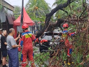 Pohon Tumbang Timpa Mobil di Jakbar gegara Hujan-Angin Kencang