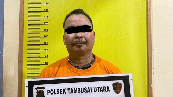 Pria inisial MZ di Rohul ditangkap usai menganiaya dan menggigit lengan warga hingga terluka parah.