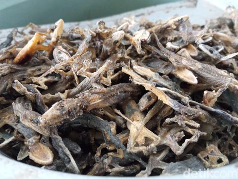 Produksi cicak kering di Kabupaten Cirebon.