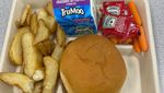 Remaja Ini Ungkap Menu Makan Siang Gratis Ala Kadarnya di Amerika