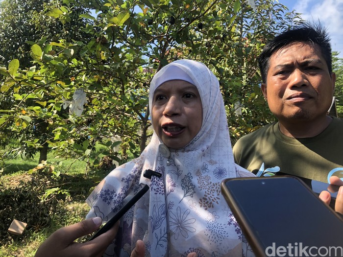 Wakil Bupati Lombok Barat, Nurul Adha dan Direktur Utama PT AMGM, Sudirman, saat diwawancarai, Sabtu (14/6/2025). (M. Zahiruddin/detikBali)