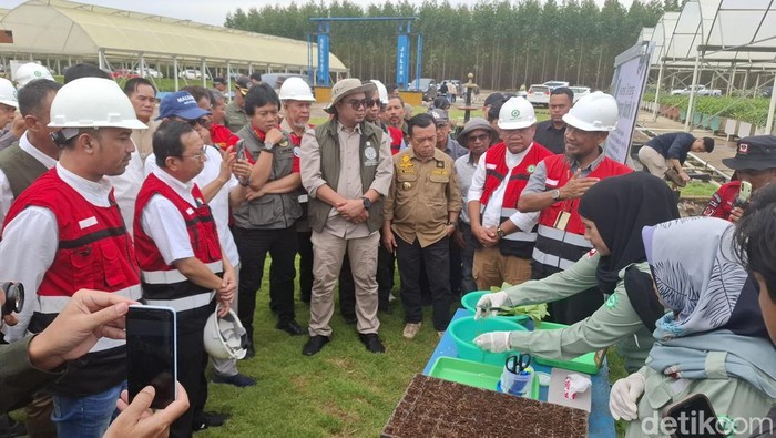 Wamen Kehutanan saat kunker ke Jambi melihat persiapan Jambi hadapi musim panas cegah karhutla