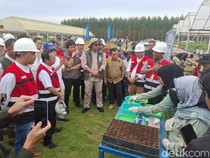 Wamenhut Sebut Jambi Memiliki Kesiapan Penuh Hadapi Karhutla