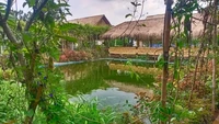 RM Saung Kecapi berlokasi di Jalan Haji Joan 2 Nomor 2, Serpong Utara. Area bersantapnya berupa saung-saung dengan pemandangan kolam. Di sini kamu bisa menyantap pecak gurame, bebek goreng, hingga iga bakar enak mulai dari Rp 30 ribuan. Foto: Wulan maya sari