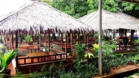 Restoran saung ini juga jadi andalan banyak keluarga. Namanya bambu Oju Seafood & Resto di Jalan Marsekal Suryadarma. Menu nasi timbel atau nasi liwet bisa dinikmati dengan aneka lauk Nusantara di sini. Foto: Wijaya Wino 