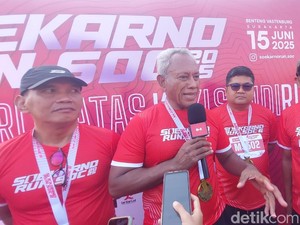 4 Pulau di Aceh Masuk Sumut, Komarudin PDIP Sebut Mendagri Kurang Kerjaan