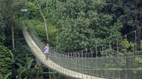 Keindahan alam sekitar yang masih asri serta posisi jembatan yang fotogenik menjadikannya destinasi selfie dan rekreasi ringan. Banyak pengunjung yang sengaja datang hanya untuk menikmati panorama dan berjalan menyeberangi jembatan sambil merasakan ayunannya di tengah angin sepoi. ANTARA FOTO/Abdan Syakura