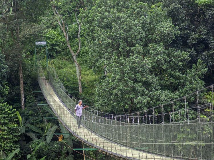 Jembatan Gantung Citarum, Ikon Baru Ekowisata di Bandung Barat