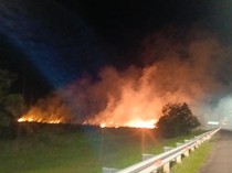 Lahan Samping Ruas Tol Palindra Terbakar, Personel Upayakan Pemadaman