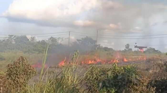 Lahan terbakar di OKU mendekati permukiman warga.