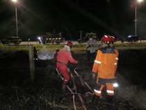 Sudah Padam, Lahan Terbakar di Samping Tol Palindra Capai 1 Hektare