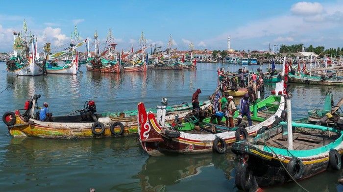 Menuju Laut Modern! Kapal Perikanan Indonesia Ditransformasi Jadi Kapal Besi Foto udara sejumlah kapal nelayan sandar di Pelabuhan Perikanan Muncar, Banyuwangi, Jawa Timur, Minggu (15/6/2025). Ditjen Perikanan Tangkap Kementerian Kelautan dan Perikanan (KKP) mendorong modernisasi dan tranformasi kapal perikanan dari yang berbahan kayu menjadi kapal besi agar memenuhi standar kelaikan kapal perikanan dunia yang laik tangkap dan laik simpan ikan hasil tangkapan. ANTARA FOTO/Budi Candra Setya