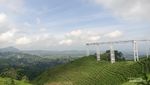 Menapaki Keajaiban Transparansi di Atas Langit