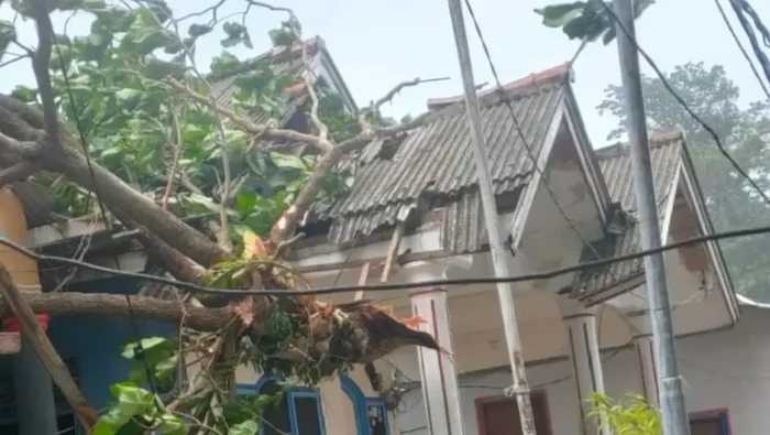 Belasan rumah warga di Kepulauan Seribu, Jakarta rusak akibat diterjang angin kencang. Petugas gabungan terjun ke lokasi untuk menangani warga terdampak. (Antara/dok Pemkab Kep Seribu)