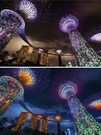 Foto Sebelum dan Sesudah Edit Photoshop