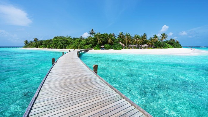 Ilustrasi pulau