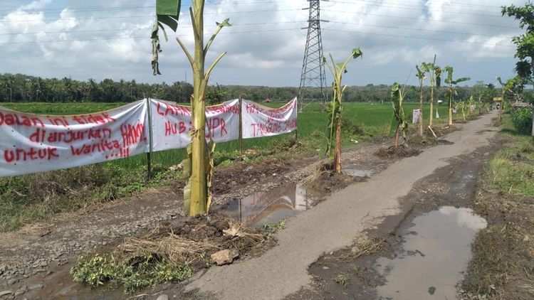 Parahnya Kerusakan Jalan Srikayangan Kulon Progo hingga Jadi Kebun Pisang