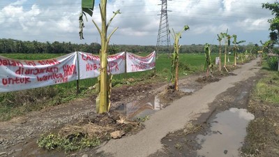 Parahnya Kerusakan Jalan Srikayangan Kulon Progo hingga Jadi Kebun Pisang