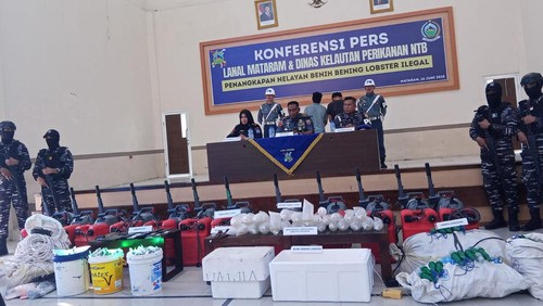 Lanal Mataram dan PSDKP NTB mengamankan 51.223 benih lobster hasil tangkapan ilegal di perairan Lunyuk, Sumbawa. (Foto: Istimewa)