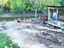 Sungai di Tarakan Barat Diduga Jadi Pusat Aktivitas Kayu Ilegal