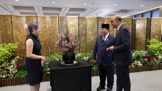 Diplomasi Anggrek dan Kebijakan Sukses Singapura yang Dilirik Prabowo