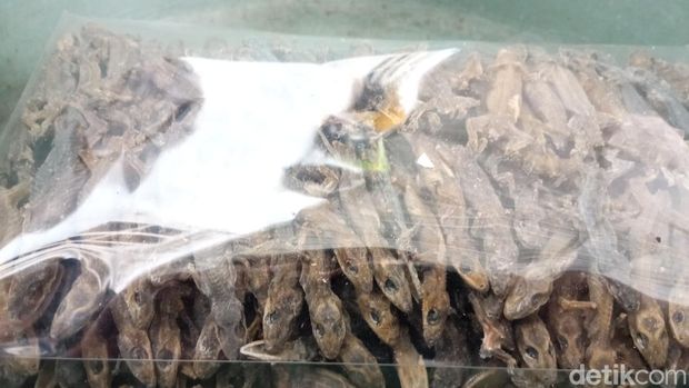 Produksi cicak kering di Cirebon.