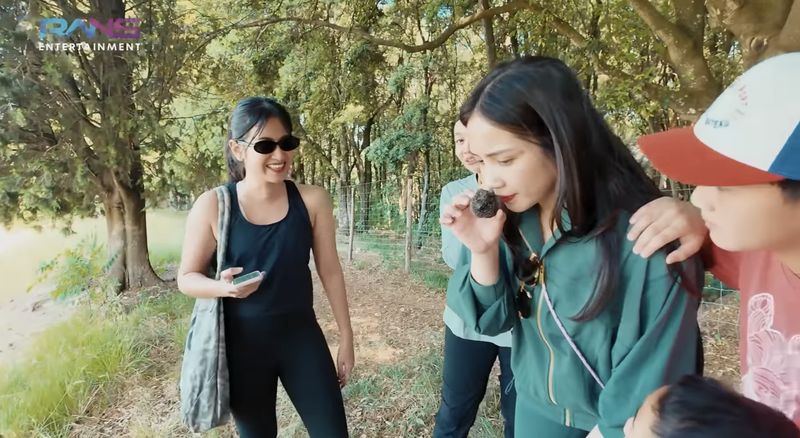 Seru! Nagita Slavina Cari Jamur Truffle di Italia Dibantu Penciuman Anj