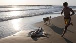 Ada Rudal Iran, Warga Israel Pilih Santai di Pantai