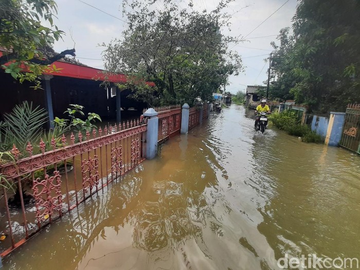 Banjir di permukiman Desa Tunggulsari, Kecamatan Tayu, Pati, Selasa (17/6/2025) pagi.