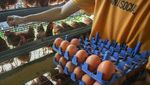 Butuh Telur untuk MBG, Indonesia Buru 100 Juta Ayam