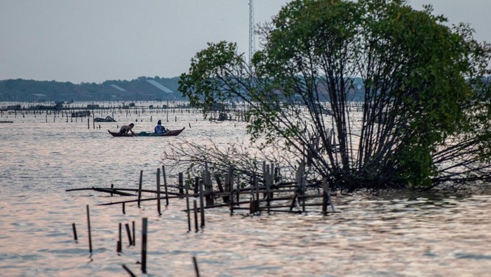 Foto udara kondisi areal bekas tambak udang maupun bandeng yang sudah tidak produktif di pesisir pantai utara Kecamatan Sayung, Kabupaten Demak, Jawa Tengah, Selasa (17/6/2025). Kementerian KKP berencana merevitalisasi sekitar 20.413,25 hektare tambak dengan sejumlah kategori di antaranya yaitu belum memiliki instalasi pengolahan air limbah (IPAL), produktivitas rendah hingga sudah tidak produktif di wilayah pantura yang berpotensi menyerap hingga 119.100 tenaga kerja, guna mendorong pertumbuhan ekonomi pesisir dan kesejahteraan masyarakat pembudi daya, serta menjadi salah satu strategi penyokong program ketahanan pangan nasional. ANTARA FOTO/Aji Styawan/foc.
