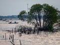Pantura Makin Tenggelam, Kenaikan Muka Laut hingga 4,3 Mm per Tahun