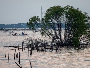 Pantura Makin Tenggelam, Kenaikan Muka Laut hingga 4,3 Mm per Tahun