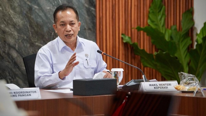 Ketua Harian Satgas Pembentukan Kopdes Merah Putih, Ferry Juliantono (Dok Istimewa)