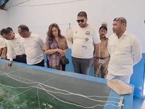Komisi IV DPR Minta KKP Beri Perhatian ke Balai Benih Ikan di Seluruh RI