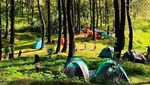 Liburan Adem Tak Melulu ke Lembang, Coba 5 Tempat Ini