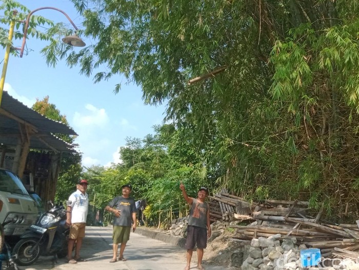 Lokasi kemunculan monyet ekor panjang di Desa Kalitengah, Wedi, Klaten, Selasa (17/6/2025).