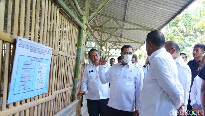Menteri Imipas Agus Andrianto meninjau peternakan ayam di Lapas Terbuka Kelas IIB Kendal, Jawa Tengah (Jateng). (Audrey/detikcom)